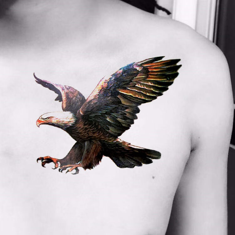 uhfq纹身贴女私处雄鹰展翅老鹰飞鹰防水真刺青男女花臂纹身贴彩色一张