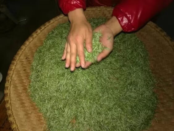 江头贡茶200g湖南耒阳特产茶叶江头一级毛尖绿茶茶香醉人口齿留香200g