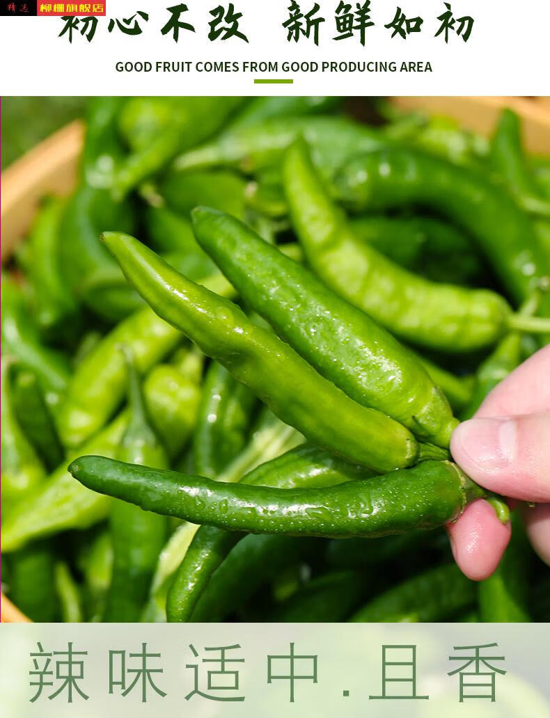 正宗樟树港富硒辣椒新鲜现摘虎皮纯手工自制卜辣椒农家白辣椒湘菜1斤