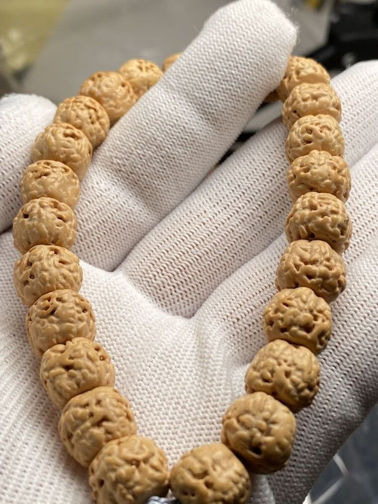 ヨ伴生福ら轻奢高端佛手小金刚毕业矮桩原桩藏式五爪金龙佛手小金刚