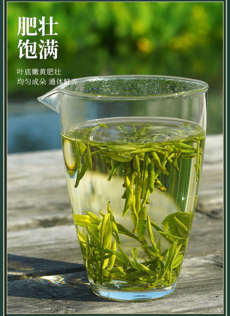 2022新茶明前黄山原产毛峰特级绿茶包装散装批发兰花香毛尖礼盒特级明