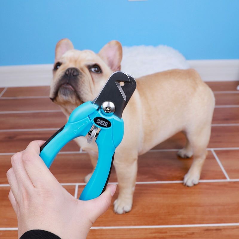 狗狗指甲剪宠物指甲钳中大型犬大狗剪指甲刀阿拉斯加金毛拉布拉多 大