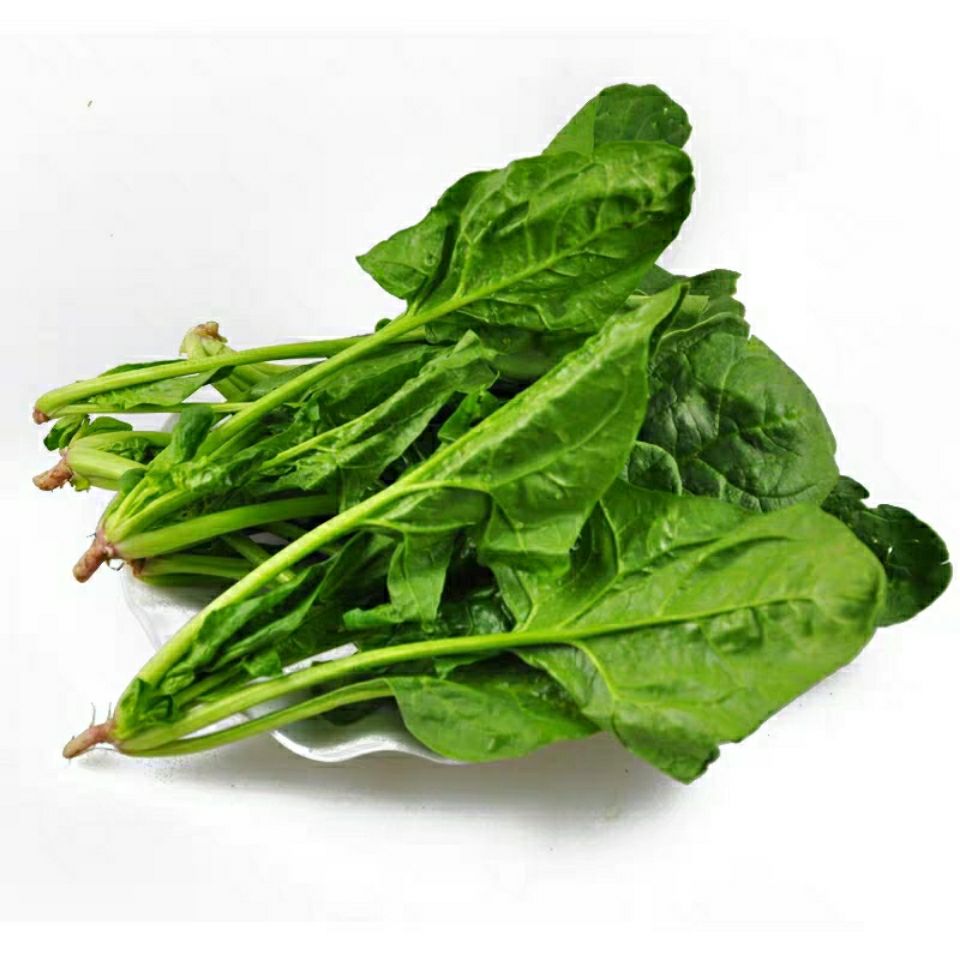 现挖现发菠菜新鲜蔬菜大叶红根菠菜农家自种露天菠菜 现挖现发5斤净重