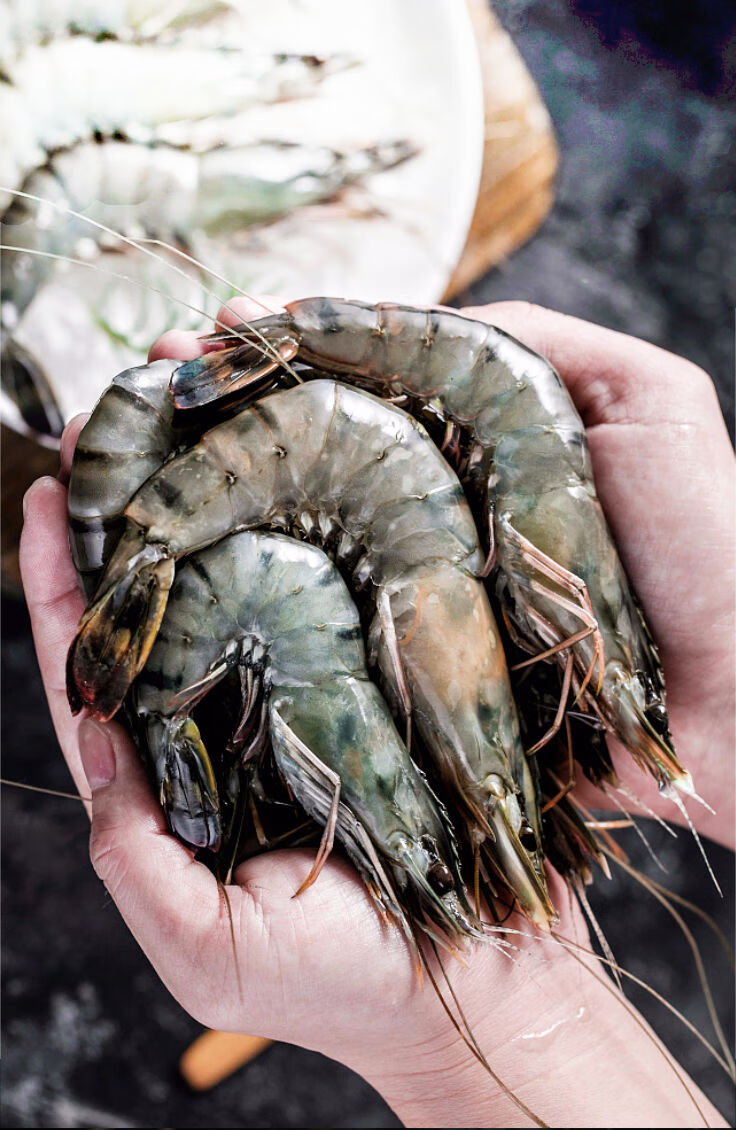 超大黑虎虾420只海捕大虾老虎虾鲜活新鲜冷冻海鲜1000克6条盒