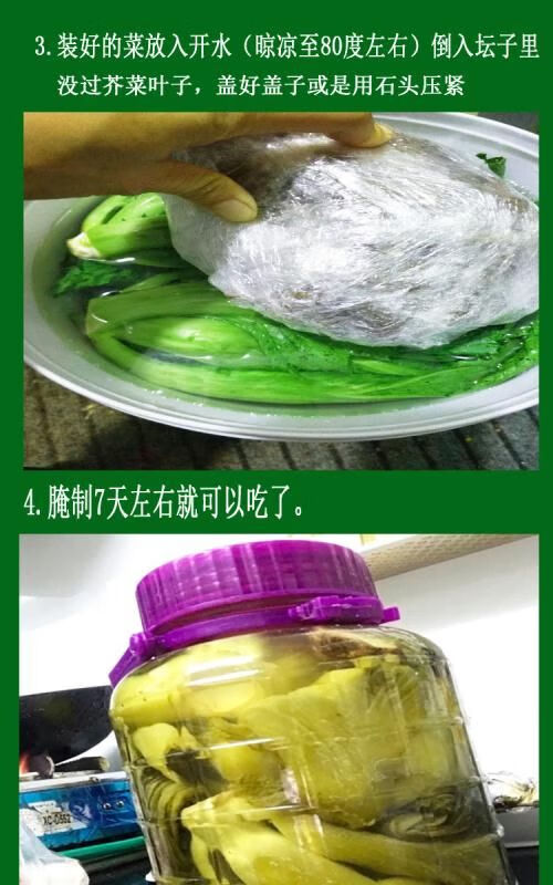 广西新鲜芥菜大叶青菜卷心肉菜苦菜可做酸菜当季蔬菜3斤4300g