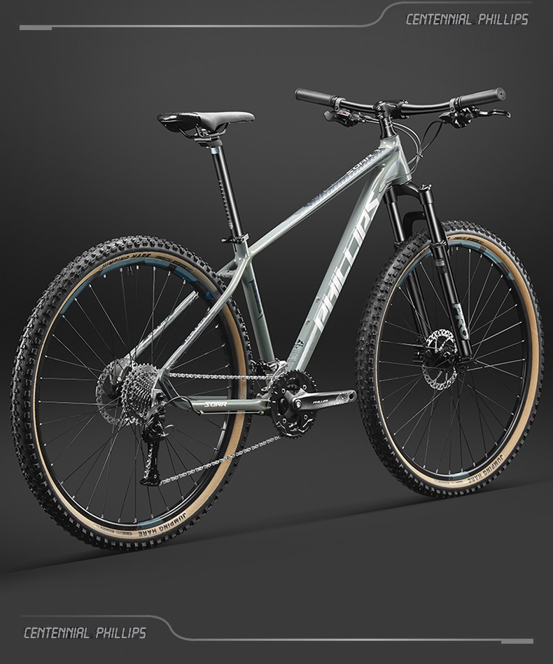 speed 900山地车自行车成人29英寸油碟刹男女铝合金油碟越野变速赛车