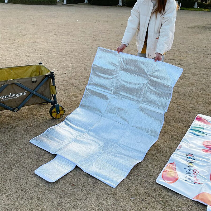 日单野餐垫日单爱心野餐垫春游户外便携野炊34人大尺寸加厚防水防潮