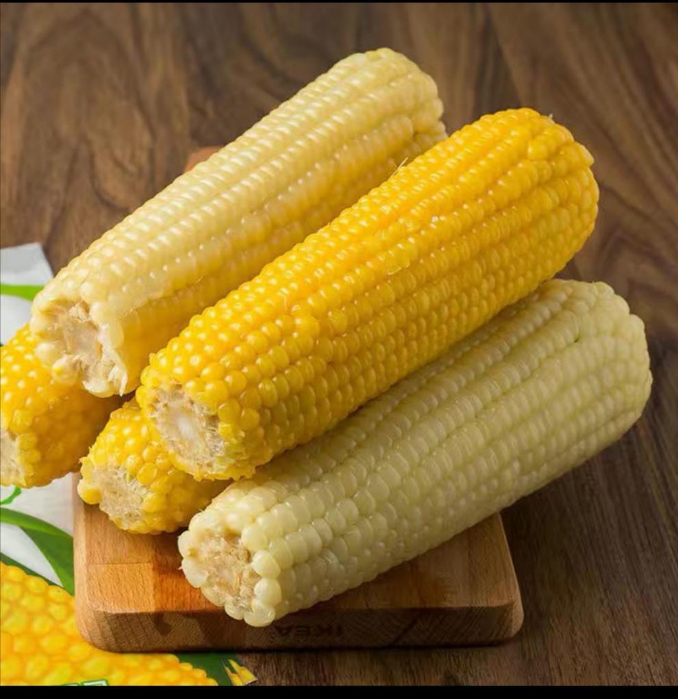 春耕牛 速冻白糯玉米东北糯玉米玉米棒白黏玉米粗粮早餐 速冻白糯(6根