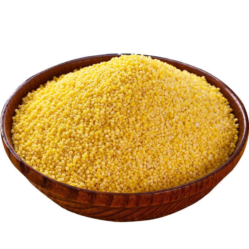 龙山小米5斤章丘龙山小米黄小米小米粥月子米小黄米新米北方农家5斤