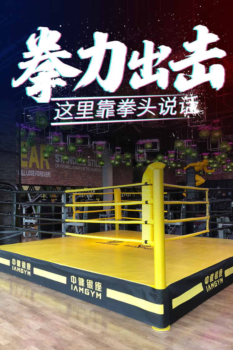 擂台围绳 拳击台擂台散打比赛综合格斗搏击擂台标准台式八角笼武术