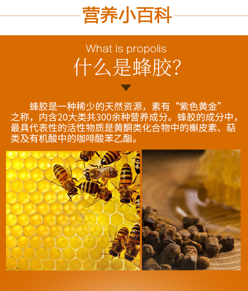 蜂胶软胶囊(蓝帽)增强免疫力中老年通用60粒瓶装 1瓶 30g体验装【图片