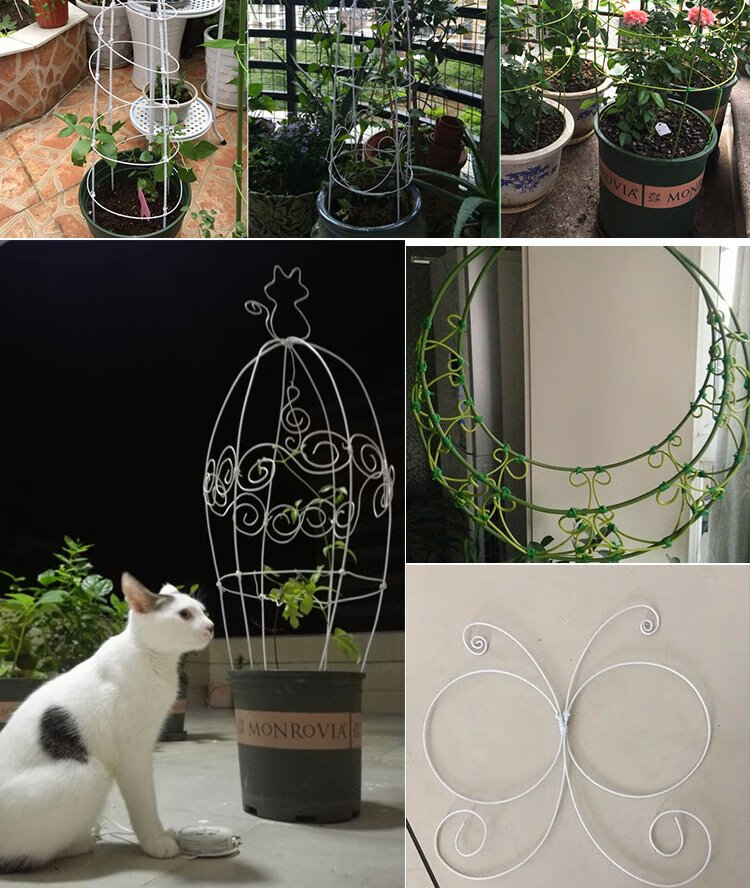 花卉防倒支架花卉造型铁丝手工diy铁线莲花架养花支撑棍月季植物绑花