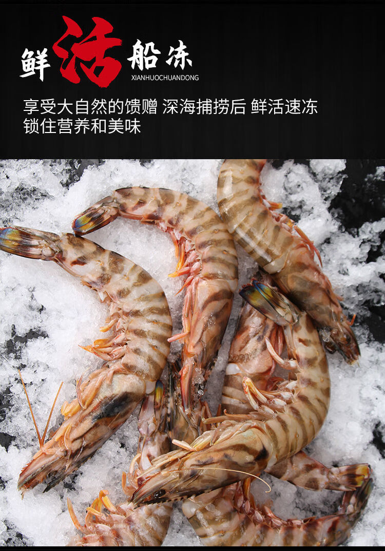 斑节虾基围虾国产大海虾子新鲜鲜活竹节虾黑虎虾1斤1416只船冻锁鲜