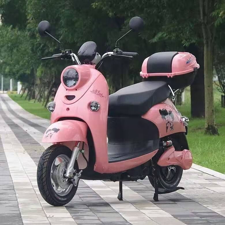 小金龟电动自行车男女通用小型电瓶车双人踏板车强劲续航家用代步车