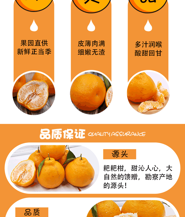 现发亏本四川春见耙耙柑橘子新鲜当季孕妇水果桔子不知火粑粑柑丑橘