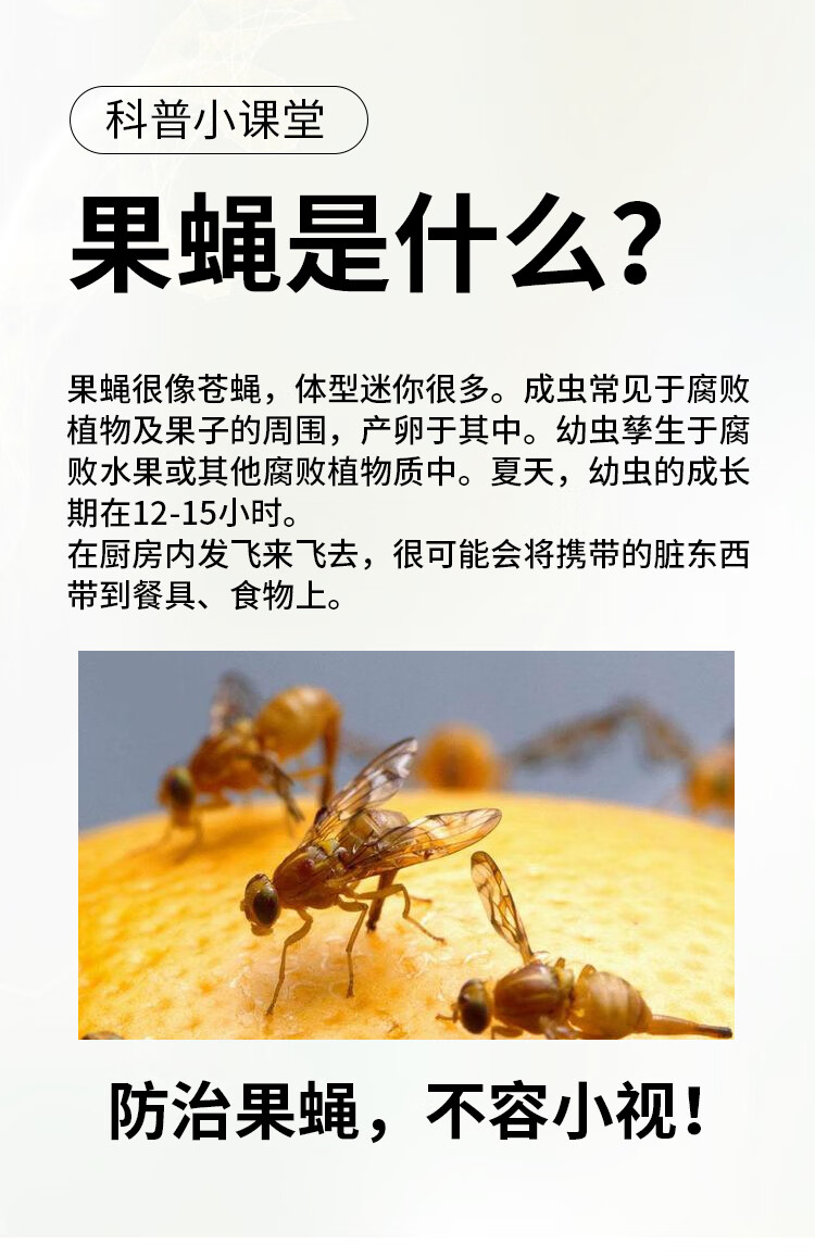 厨房果蝇杀虫剂果蝇杀虫剂小飞虫灭杀神器家用室内厨房垃圾桶驱除苍蝇