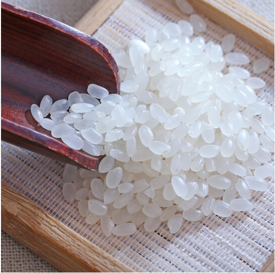 5折普康大米全国普康普康3号大米5kg袋东北大米小粒珍珠米粳米