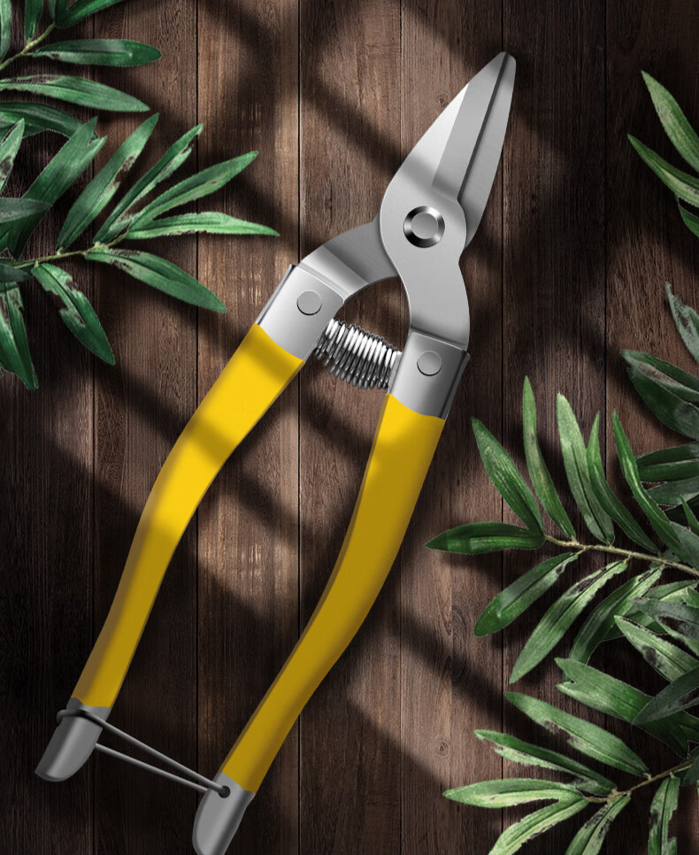 劲胜摘果剪刀摘橘子的剪刀水果专用修葡萄剪摘梨工具采摘收果剪疏果fh