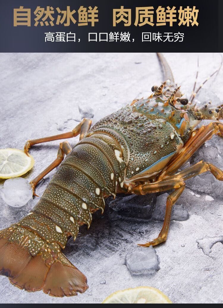 小青龙虾鲜活冷冻冰鲜青龙虾冷冻大龙虾新鲜小青龙海鲜500g2只2斤34只