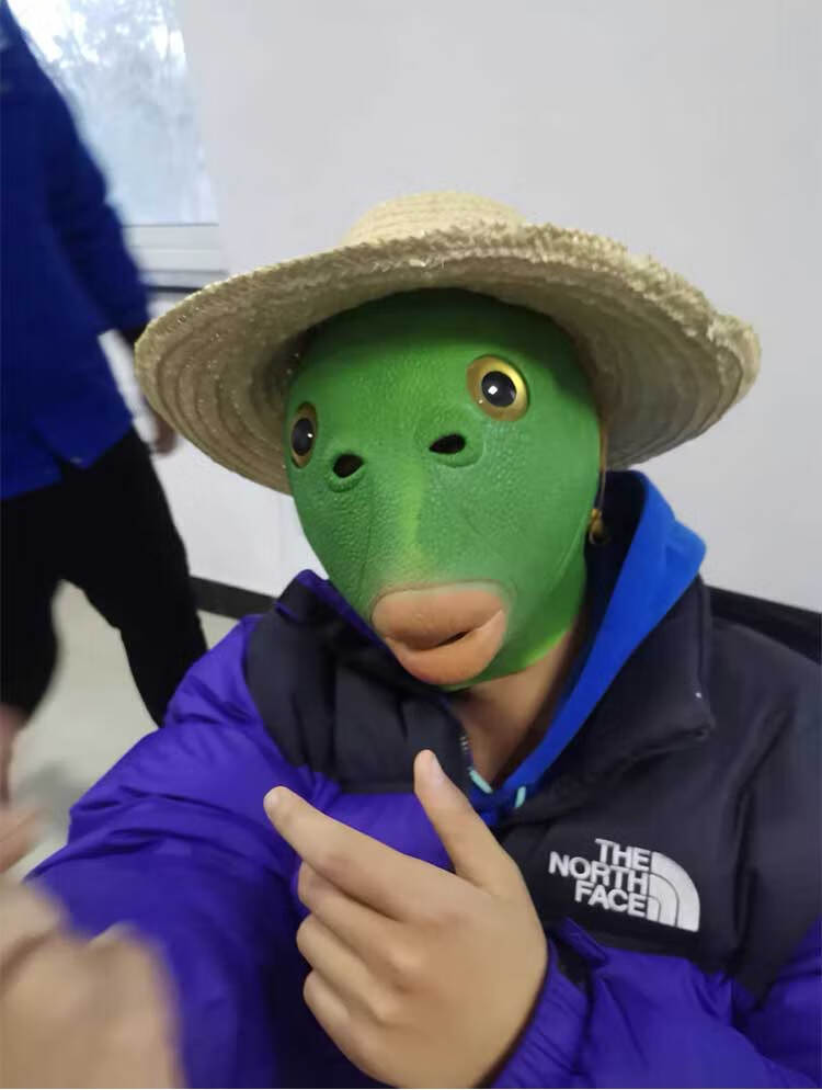 绿头鱼头套面具可爱搞怪搞笑沙雕鱼头怪怪人绿色网红奔波霸儿 10d高端