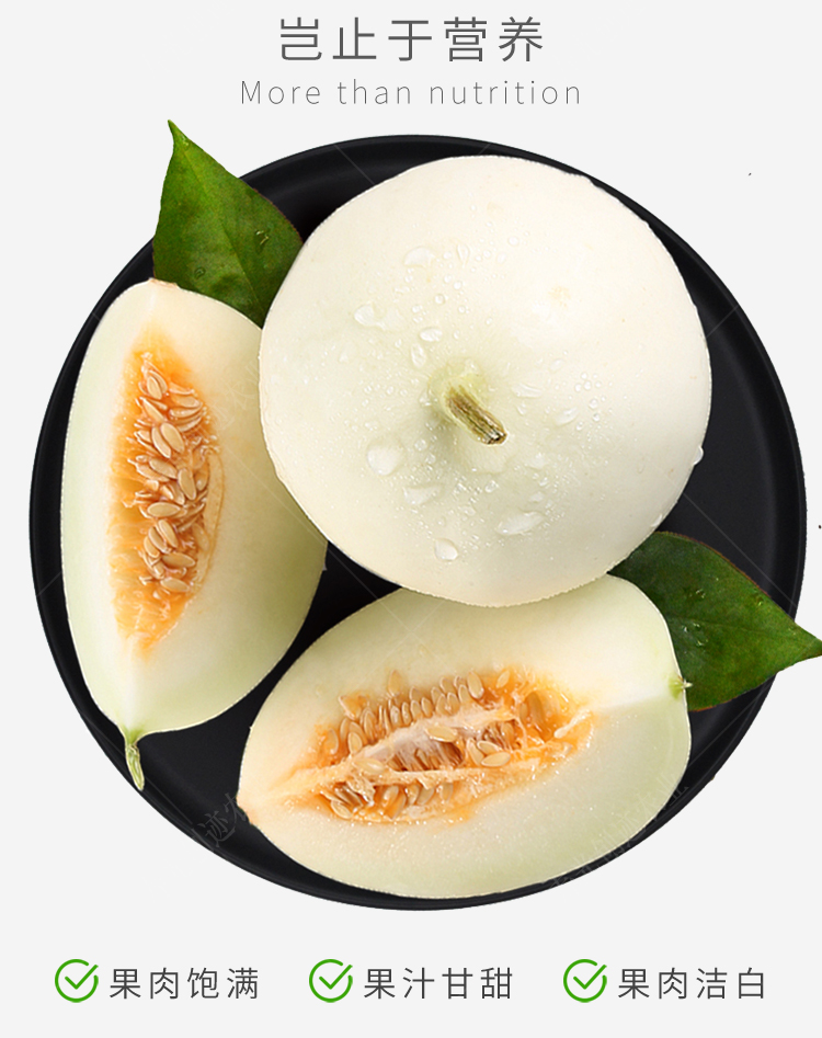 高糖白甜瓜种子超甜香瓜景甜208白糖罐传统农家水果农家四季播 【高糖