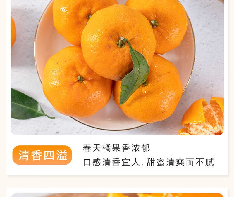 南丰蜜桔乡桔价格(南丰蜜桔价格报价)