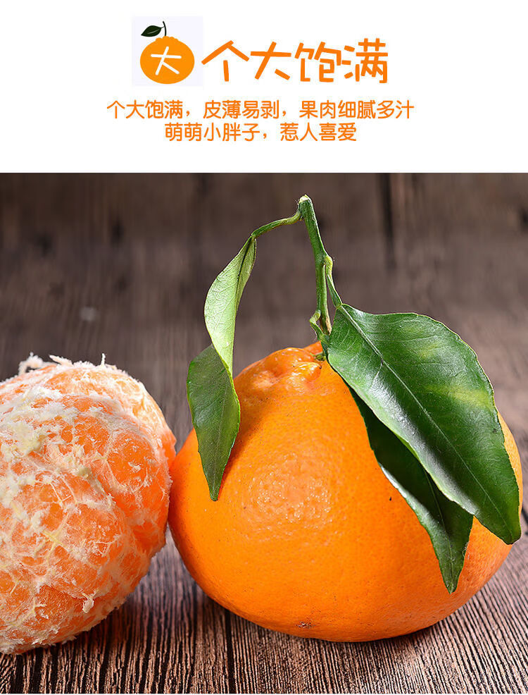 四川春见耙耙柑丑橘子桔子水果新鲜应季水果丑橘子桔子水果粑粑柑 2斤