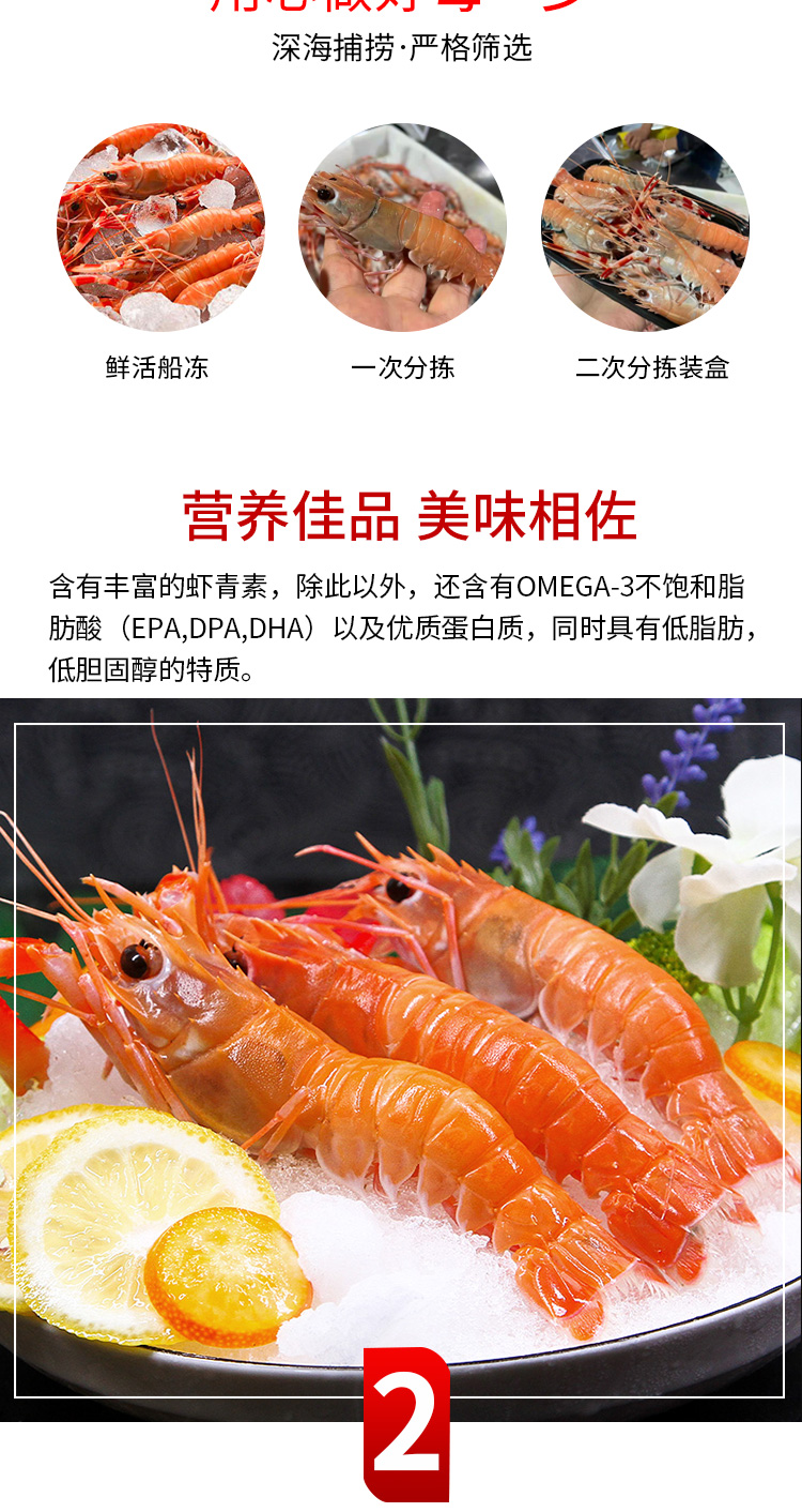 舟山海鳌虾新鲜深海鳌虾刺身甜虾海螯虾熬虾海鲜东海鳌虾鲜活1500g17