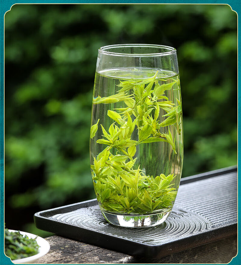 余庆小叶苦丁茶 250g明前贵州青山绿水嫩芽2022新茶叶 500克(70%茶友