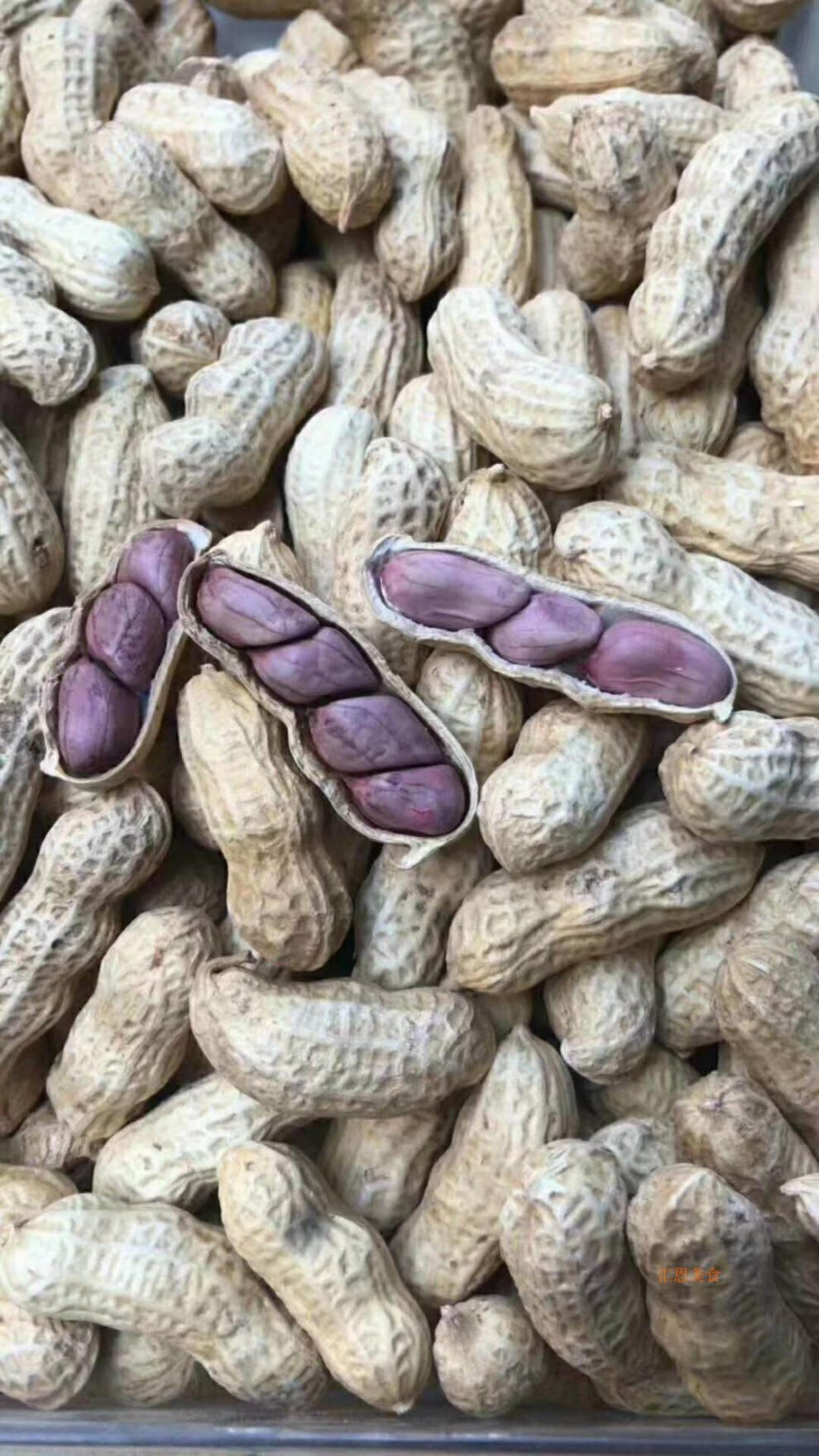 龙岩湿烤花生连城红衣花生带壳坚果炒货零食小吃休闲食品湿烤花生3斤