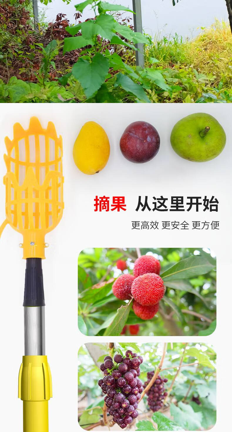 杨梅蓝莓摘果子可伸缩杆采摘果器工具金属采摘头单头不含杆直径14厘米