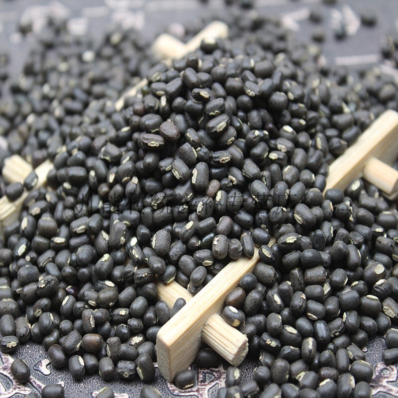 黑绿豆5斤黑皮绿豆黑绿豆黑小绿豆农家自种
