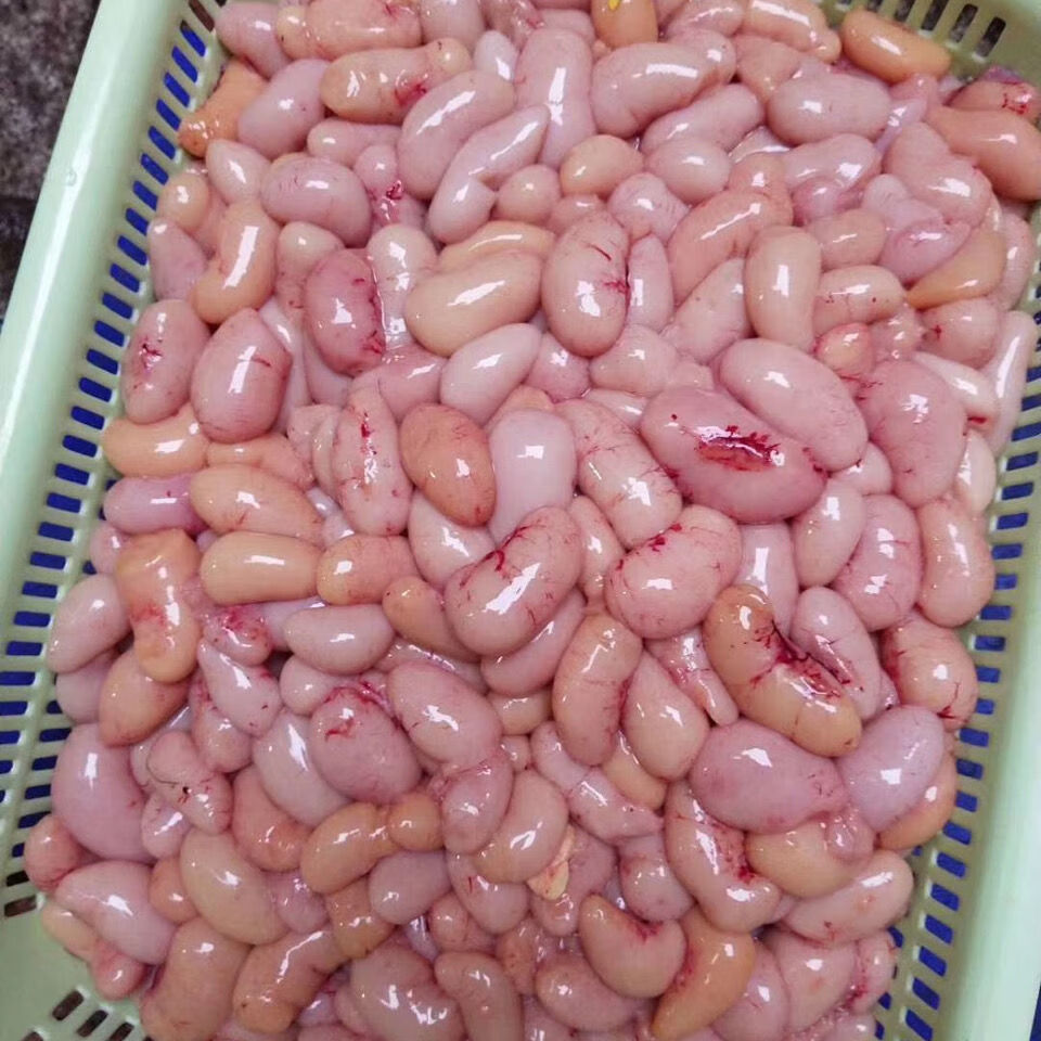 广东鸡公鸡蛋鸡春子鸡子鸡卵鸡杂鸡肉火锅鸡副品500g 500g【图片 价格