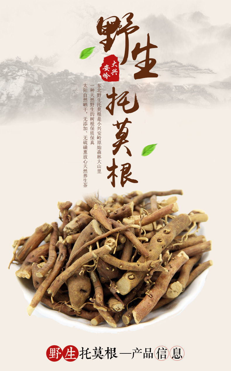 东北野生托莫根泡水泡茶饮品保肝250克500克天然大兴安