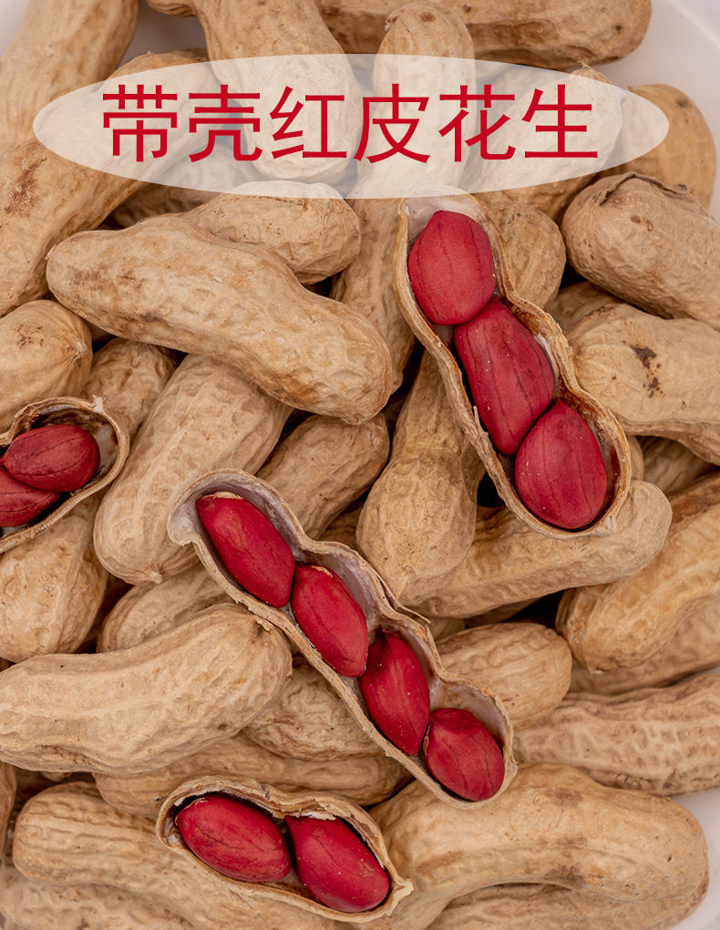 农家铁锅炒花生零食2021年新货新鲜带壳原味四粒红衣红皮花生炒熟炒熟