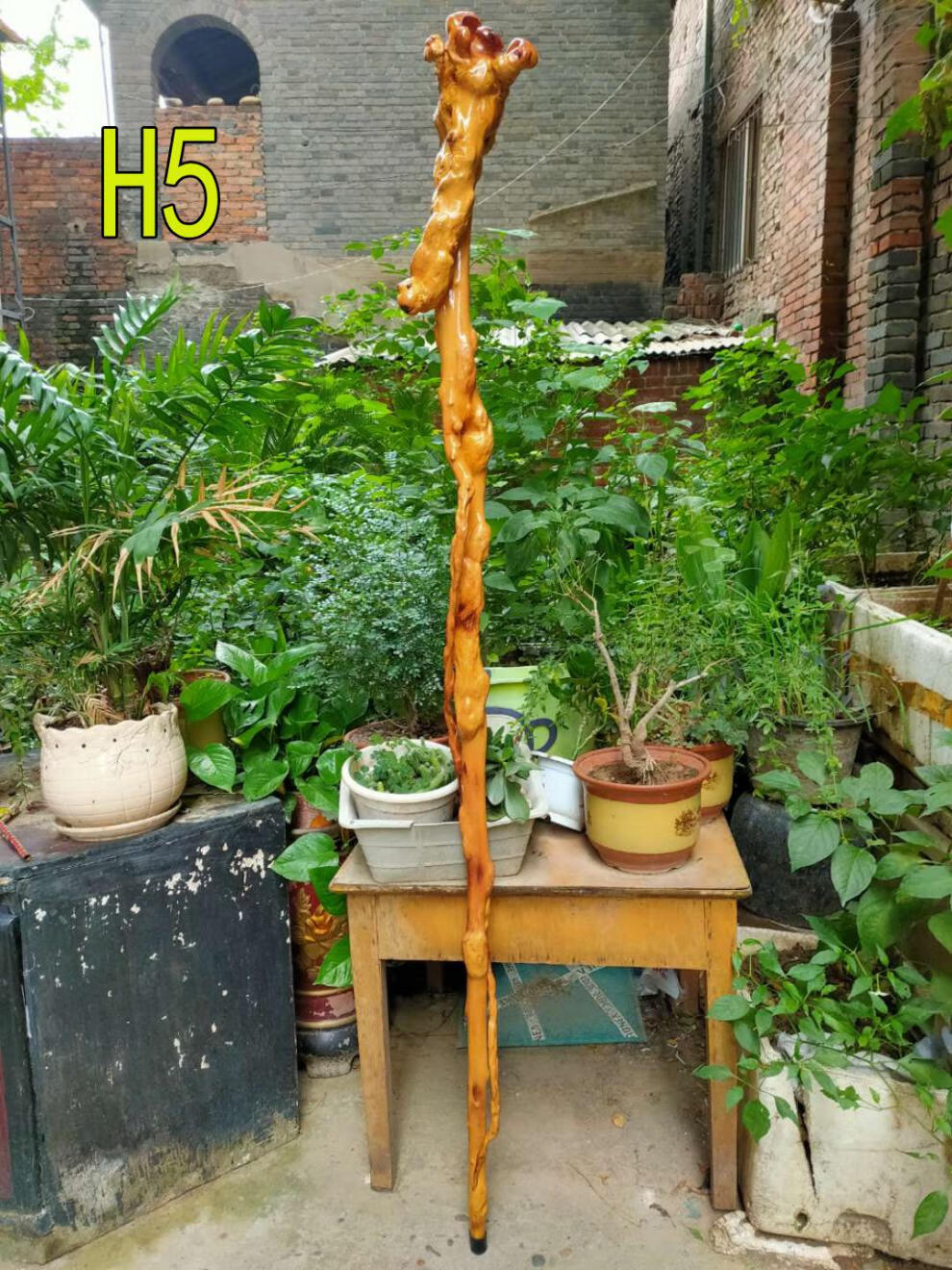 云南黑果木红茶树原生象形新品实木拐杖一体禅杖根雕文玩收藏摆件大