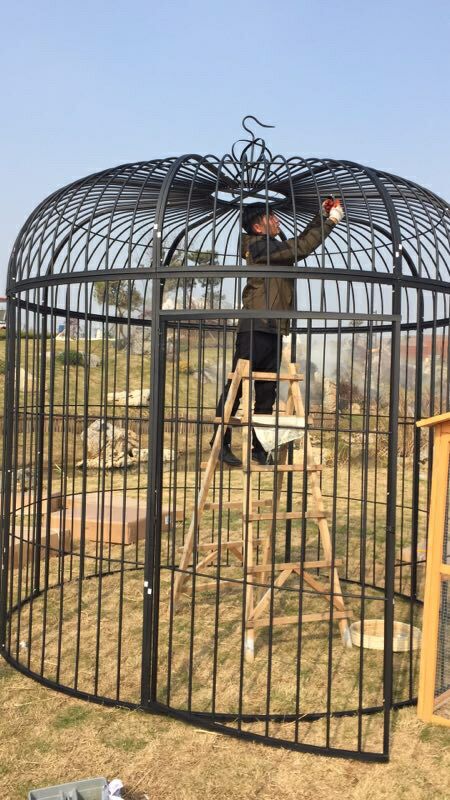 铁艺超大型孔雀养鸟笼广场婚庆装饰道具鸟笼摆设户外大型大号鸟笼