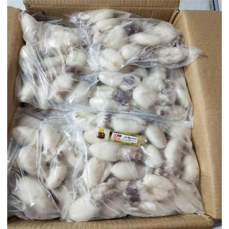 冷冻目鱼仔墨鱼仔海捕鲜活小乌贼小章鱼八爪鱼冷冻墨斗鱼海鲜新鲜墨鱼