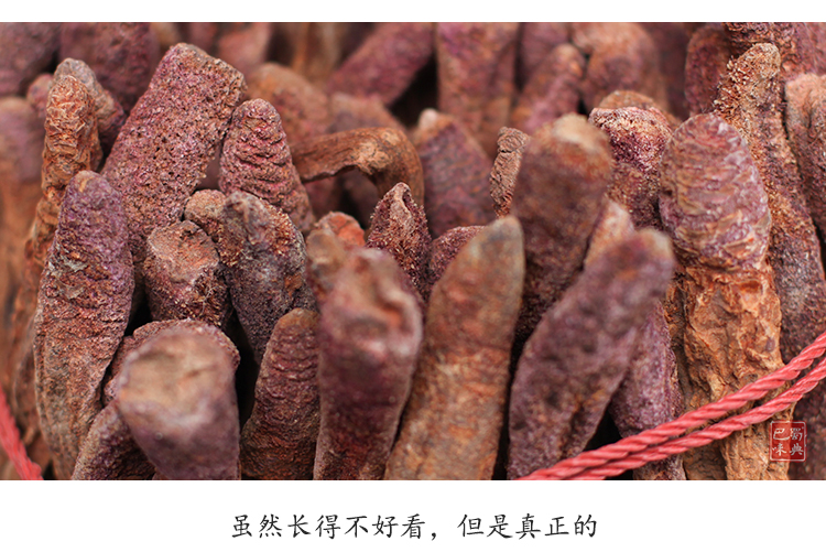 自选好物新疆正宗金锁阳纯野生沙漠特级500g锁阳干整根切片泡茶泡酒料