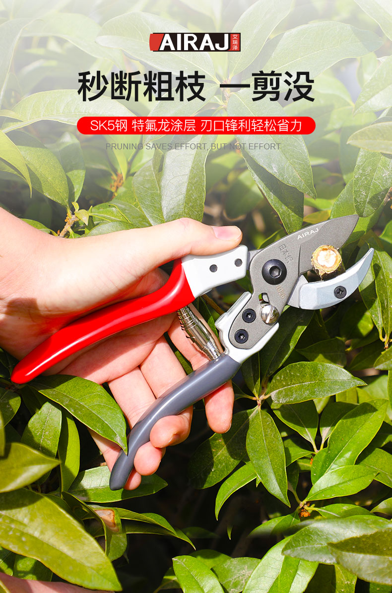 日本进口5钢果树修剪刀 修枝剪果树修枝日本sk5省力园艺花艺家用剪