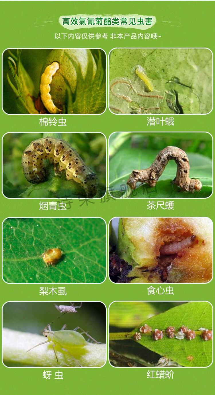 2022新款氯氰菊酯脂花卉蔬菜瓜果树农药杀虫剂小黑飞菜青虫蚜虫食心虫