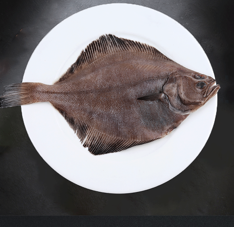 鸦片鱼2条海鲜水产鲜活海捕鲽鱼海鱼石斑鱼冷冻大菱鲆鸦