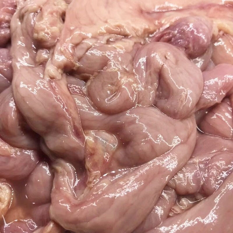 新鲜速冻老母鸡生鸡蛋黄五斤蛋肠鸡蛋肠饭店食堂自家吃广纳力驰 蛋黄