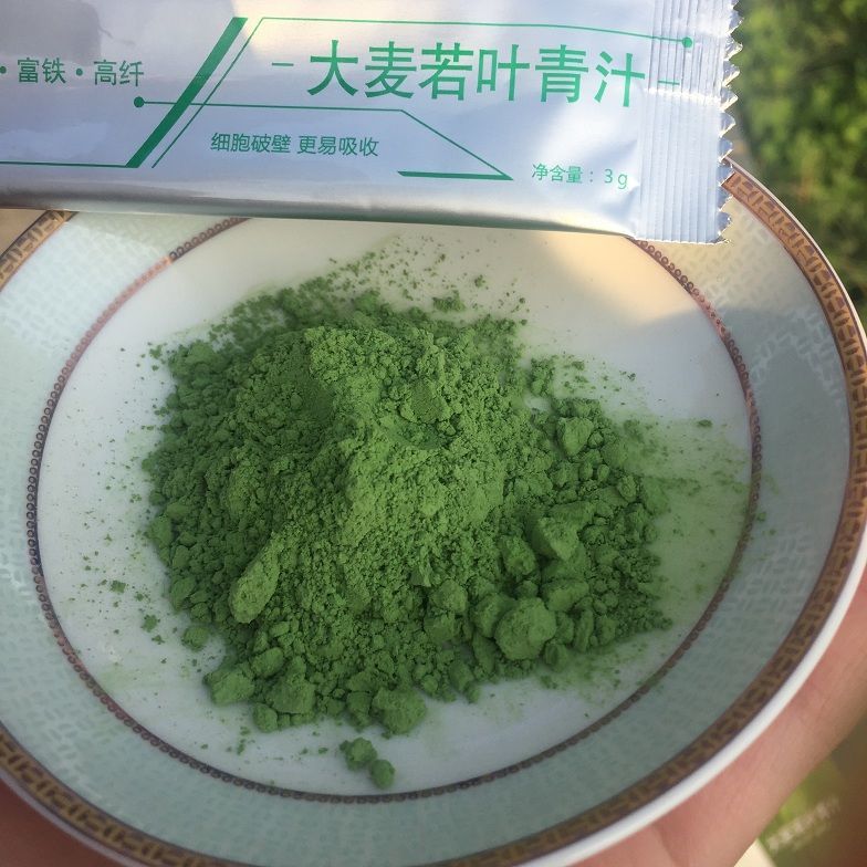 蚂蚁农场大麦若叶青汁大麦嫩苗粉微商同款代餐青汁粉503g5盒杯子5条共