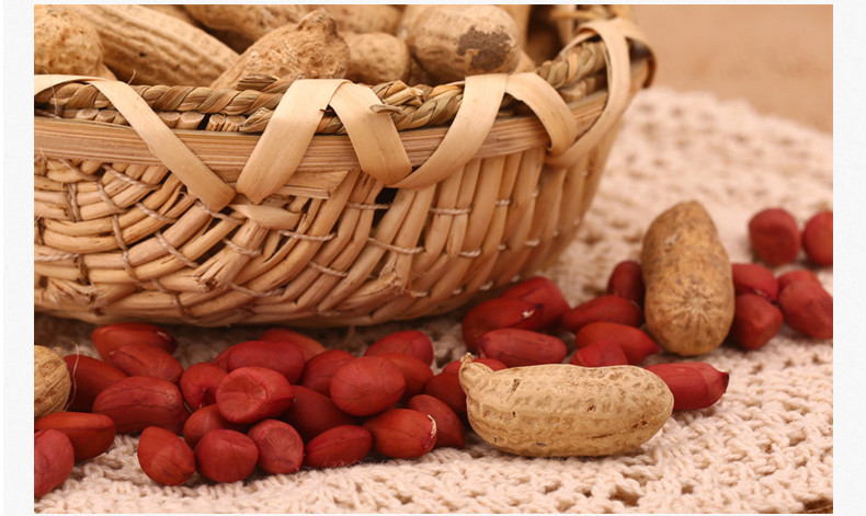 耕药堂红皮花生衣花生皮红衣粉新鲜新货花生米皮500g