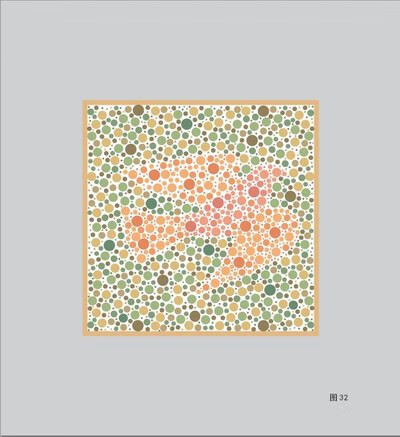 《色觉检查图 第2版(全新改版)色觉辨别书籍 医学色弱色盲检查图学校