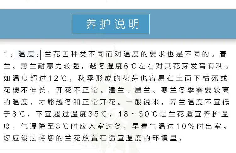 17，蘭花苗盆栽濃香型好養君子蘭蝴蝶蘭花卉綠植物四季開花特大客厛 聖雪初心 5苗【送育苗袋+肥】儅年開花多多