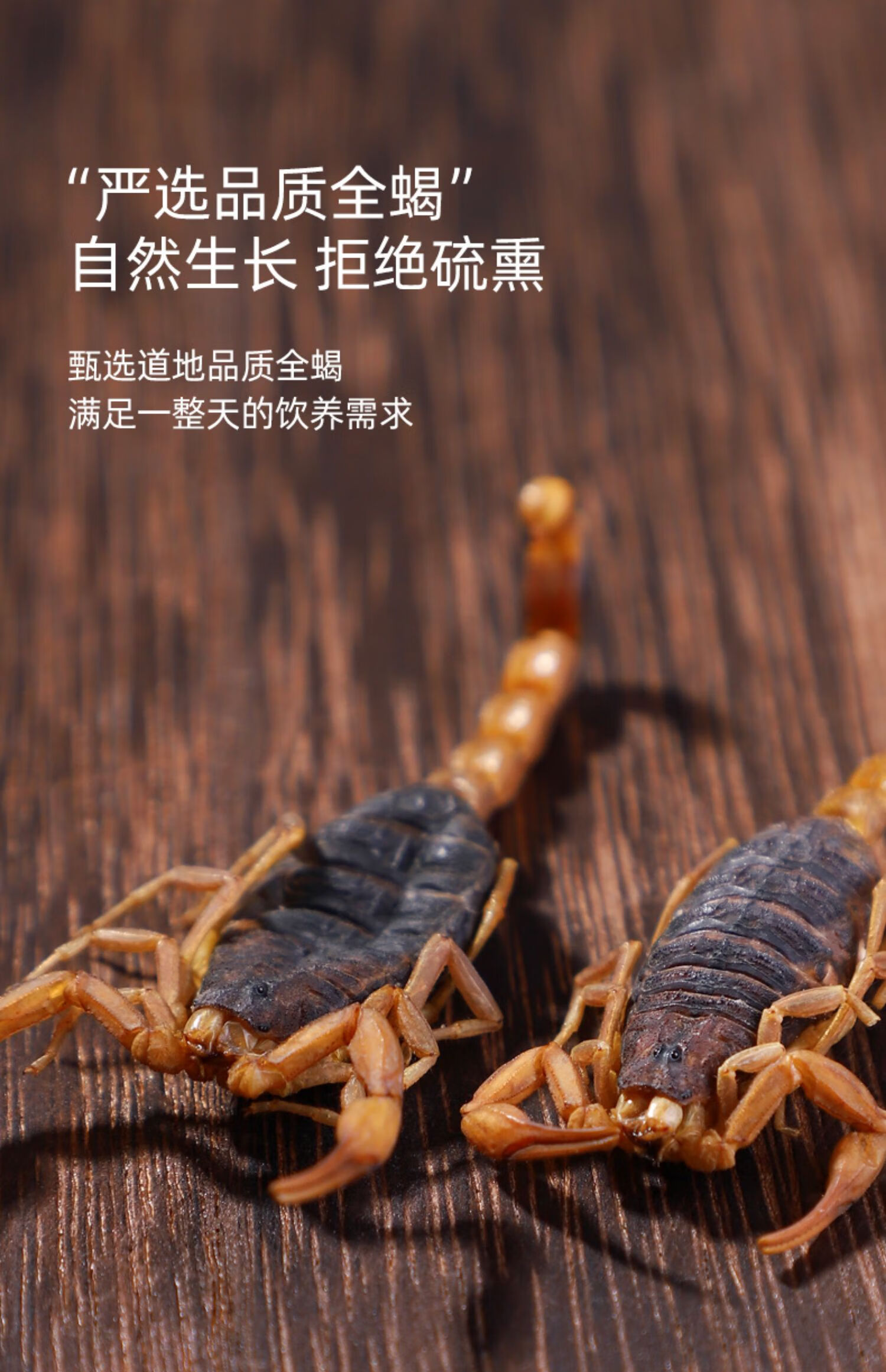 同仁堂同仁堂全蝎中药材50g清水十足全干蝎子中药全虫食用干货药材