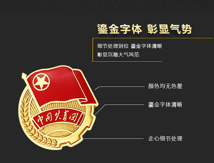 迪禾中国共青团团徽standard蝴蝶扣安全别针吸铁石初中学生标准版徽章