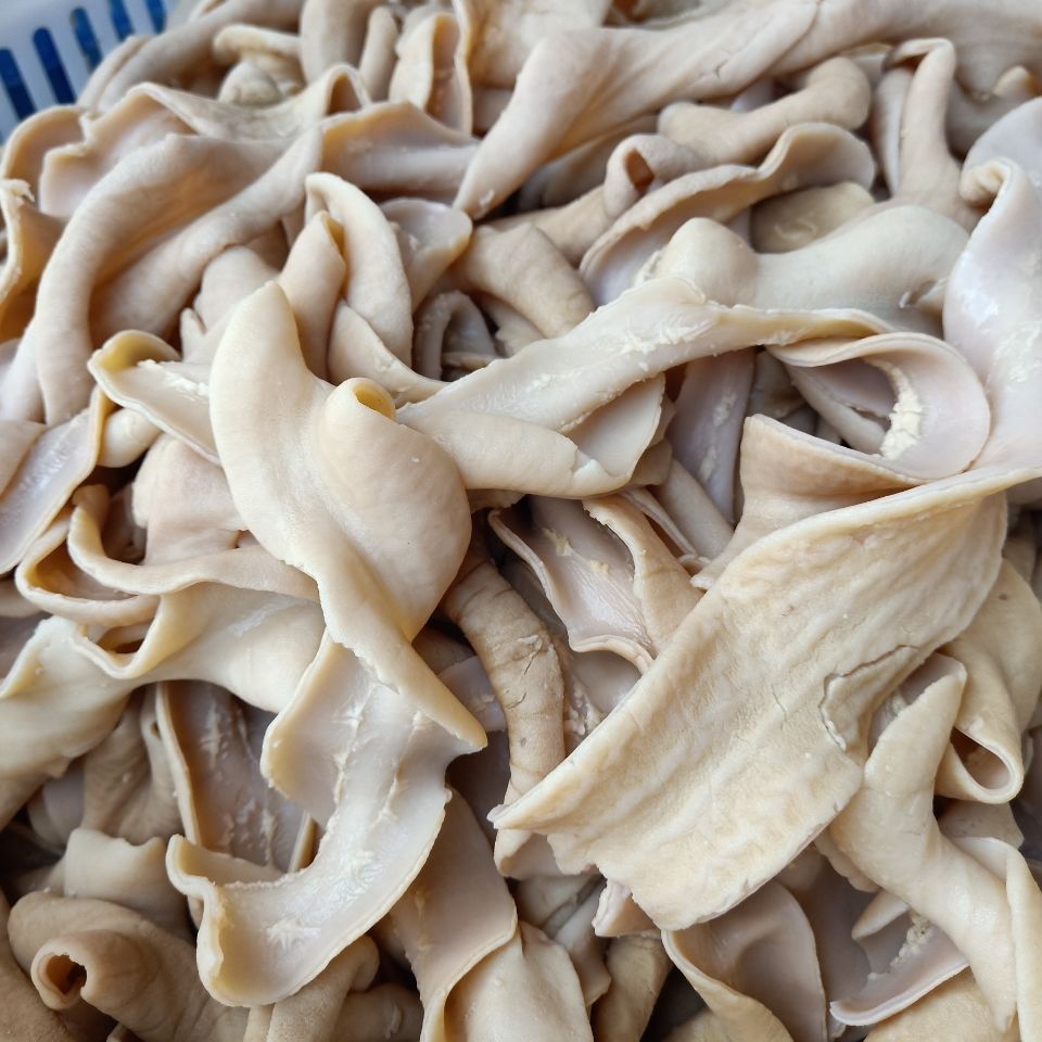 5斤装牛小肠新鲜过水牛肠半成品去油牛肠子牛杂商用批发福茹洲牛散带